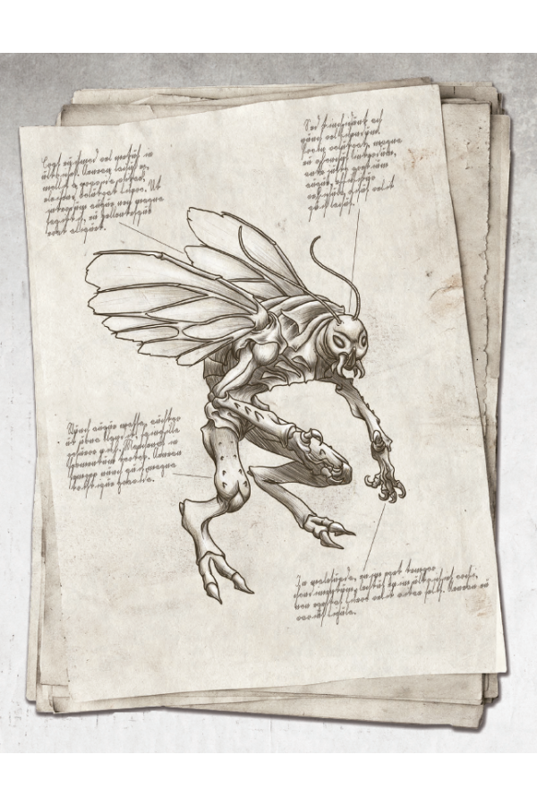 Libri Monstrorum I : Bestiaire