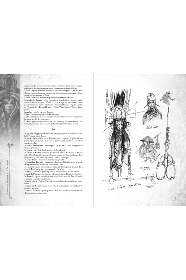 Les carnets fragmentés