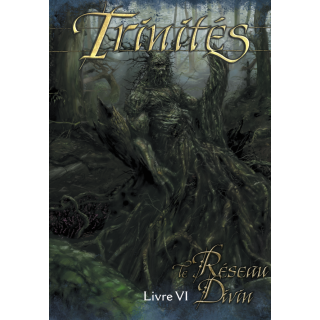 Livre VI - Le Réseau divin