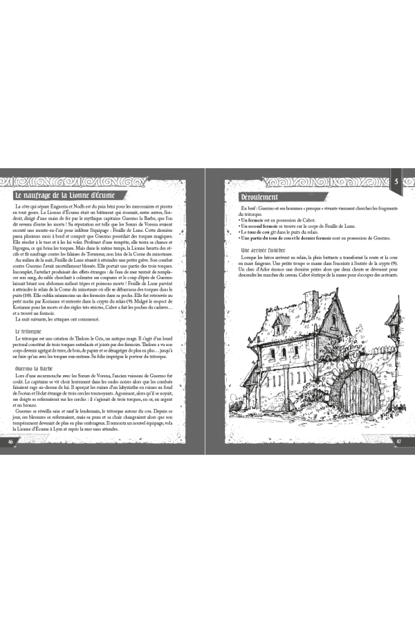 Écran et Aventures en Selestya